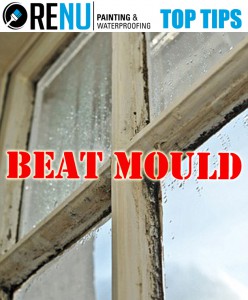 Top Tip Mould Cleaning