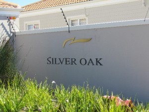 Painting Melkbosch Village